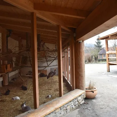 Apartman Ptaci Dum Διαμέρισμα *
